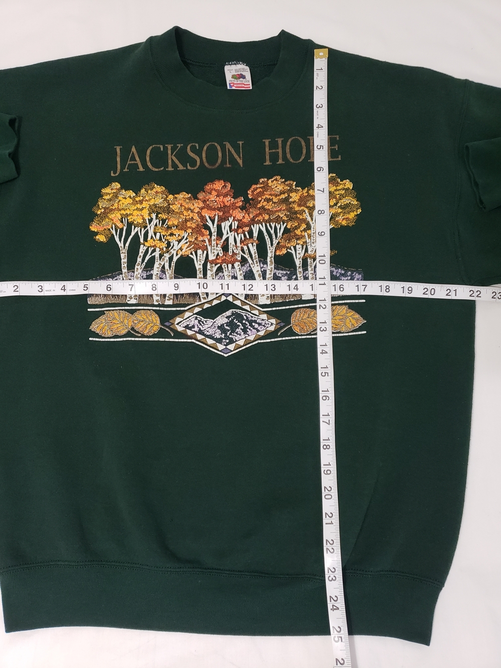 Vintage 90s Jackson Hole Wyoming Fruit of the Loom Green Sweatshirt USA L - Picture 8 of 8